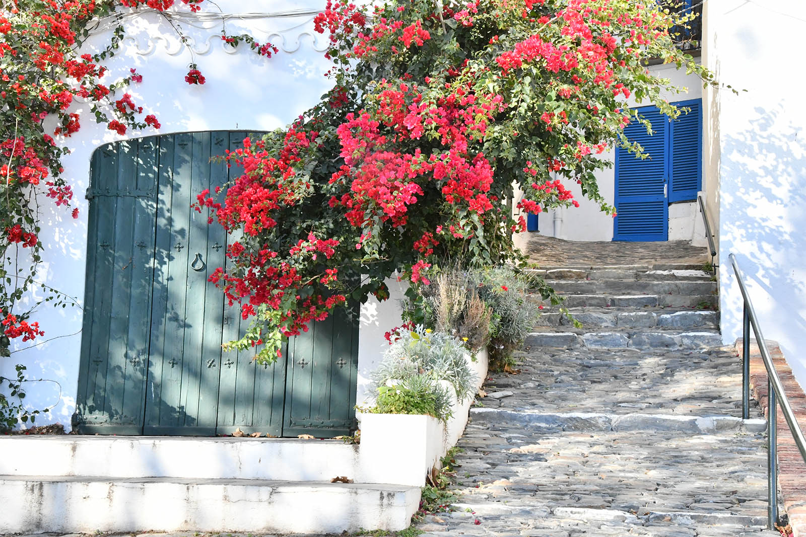 Activités à l'hôtel Octavia Cadaqués